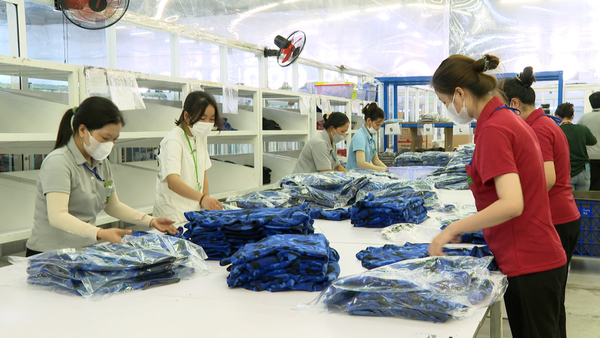 Kiểm tra chất lượng